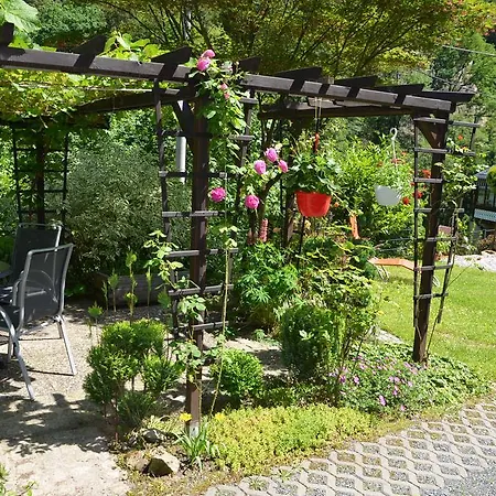 Hauser Bad Schandau