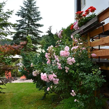 Apartman Sonnenhof Bad Schandau