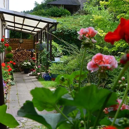 Hauser Apartment Bad Schandau