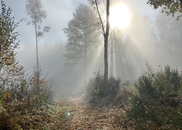 Sonnenhof * Bad Schandau
